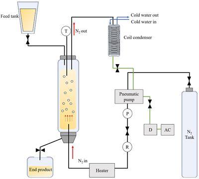 Immobilized Lipase in the Synthesis of High Purity Medium Chain Diacylglycerols Using a Bubble Column Reactor: Characterization and Application